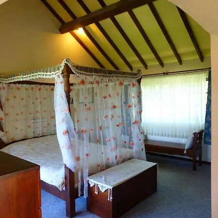 Mountain Guest house