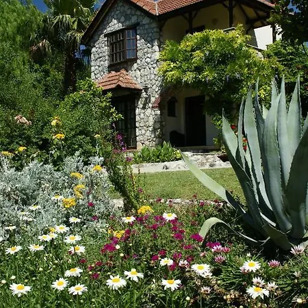 Mountain Guest house 3*