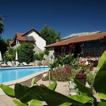 Mountain Guest house