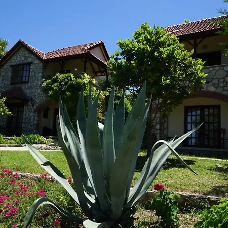 Mountain Guest house Doger Koyu