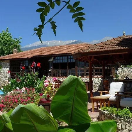 Guest house Mountain 3*