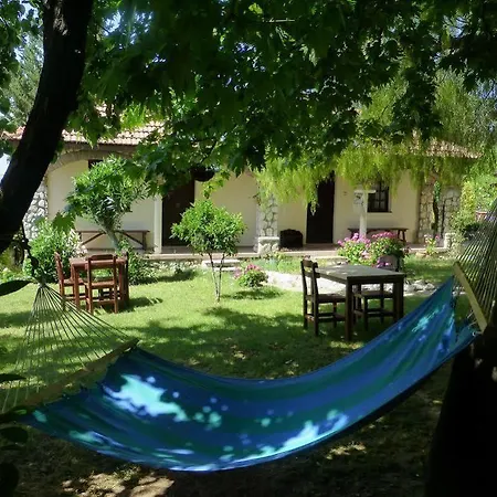 Mountain Guest house Doger Koyu