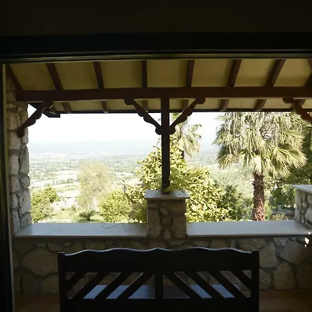 Mountain Guest house