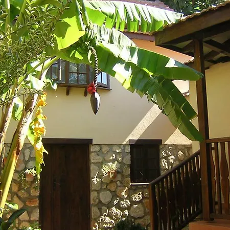 Mountain Guest house Doger Koyu
